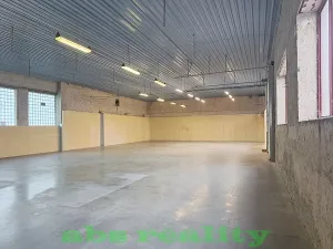 Pronájem skladu, Kostomlaty nad Labem, 419 m2
