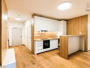 Pronájem bytu 3+kk, Brno, Stavební, 57 m2