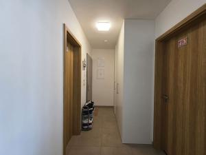 Pronájem bytu 2+kk, Plzeň, Pallova, 46 m2