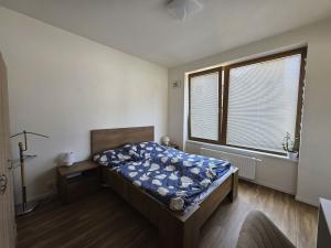 Pronájem bytu 2+kk, Plzeň, Pallova, 46 m2