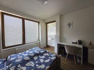 Pronájem bytu 2+kk, Plzeň, Pallova, 46 m2