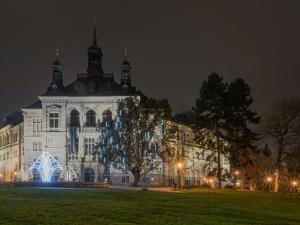Pronájem bytu 2+kk, Plzeň, Pallova, 46 m2