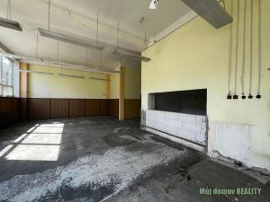 Pronájem výrobních prostor, Praha - Vysočany, Lisabonská, 250 m2