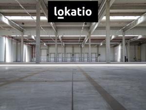 Pronájem skladu, Blučina, 27115 m2