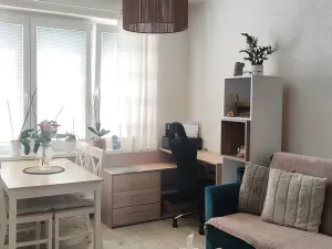 Prodej bytu 2+1, Bruntál, Dr. E. Beneše, 54 m2