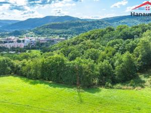 Prodej louky, Ústí nad Labem - Neštěmice, Zelená, 10041 m2