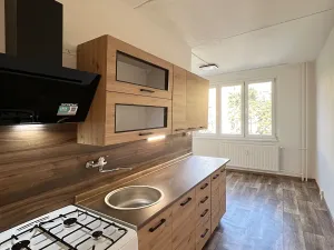 Pronájem bytu 2+1, Chomutov, Borová, 60 m2