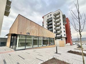 Pronájem bytu 2+kk, Praha, Zlochova, 54 m2