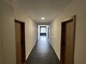 Pronájem bytu 1+kk, Louny, Husova, 38 m2