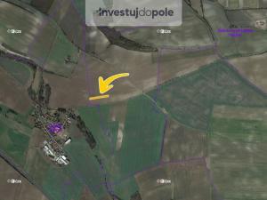 Prodej pole, Židovice, 1494 m2