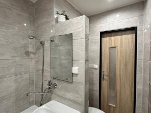 Pronájem bytu 1+1, Děčín - Děčín VI-Letná, 44 m2