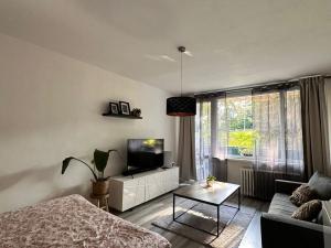 Pronájem bytu 1+1, Děčín - Děčín VI-Letná, 44 m2
