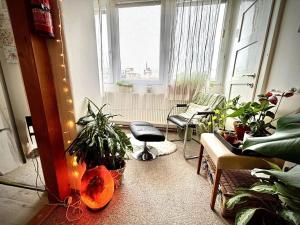 Pronájem bytu 2+kk, Olomouc, 51 m2