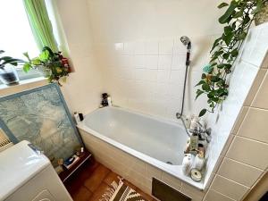 Pronájem bytu 2+kk, Olomouc, 51 m2