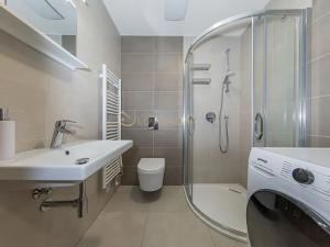 Pronájem bytu 1+kk, Olomouc, Frištenského, 32 m2