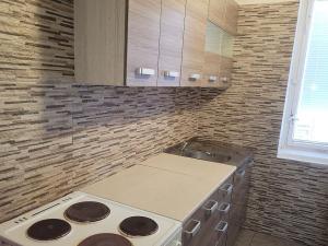 Pronájem bytu 2+kk, Litvínov - Horní Litvínov, U Zámeckého parku, 42 m2