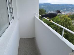 Pronájem bytu 1+kk, Ústí nad Labem, Malátova, 23 m2