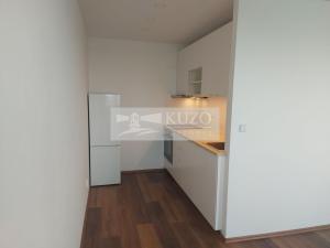 Pronájem bytu 1+kk, Praha, Tobrucká, 30 m2