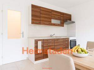 Pronájem bytu 2+kk, Ostrava - Poruba, Dělnická, 37 m2