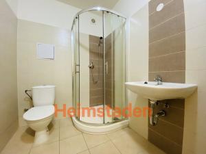 Pronájem bytu 2+kk, Ostrava - Poruba, Dělnická, 37 m2