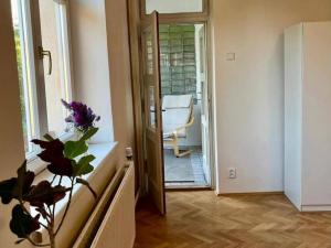Pronájem rodinného domu, Praha - Vinohrady, Květná, 235 m2