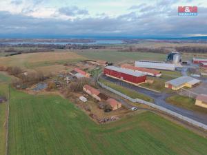 Pronájem zemědělského objektu, Lipová, 523 m2