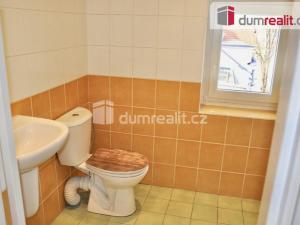 Pronájem bytu 1+kk, Ústí nad Labem - Ústí nad Labem-centrum, Důlce, 43 m2