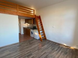 Pronájem bytu 1+kk, Praha - Vysočany, Freyova, 22 m2