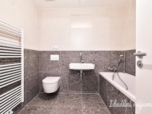 Pronájem bytu 1+kk, Brno, Bratislavská, 35 m2
