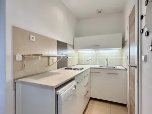 Pronájem bytu 1+1, Brandýs nad Labem-Stará Boleslav, Ivana Olbrachta, 30 m2