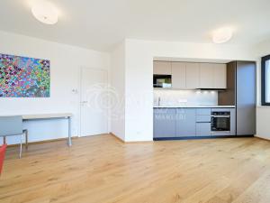Pronájem bytu 2+kk, Praha - Karlín, Sokolova, 60 m2