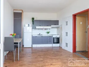 Prodej bytu 1+1, Všemyslice, 41 m2