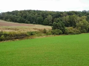 Dražba pole, Kostelec nad Černými lesy, 12366 m2