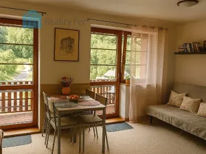 Prodej bytu 1+kk, Žacléř, 49 m2