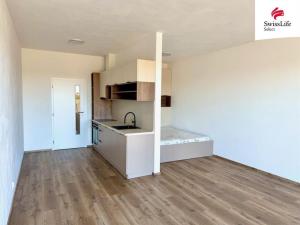 Pronájem bytu 1+kk, Plzeň, Františka Kováříka, 44 m2