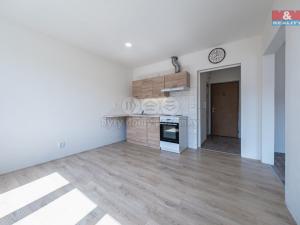 Prodej bytu 1+1, Žatec, Černobýla, 35 m2