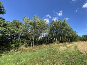 Prodej pozemku, Libina, 6659 m2