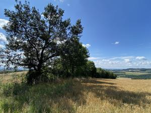 Prodej pozemku, Libina, 6659 m2