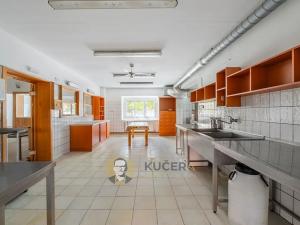 Prodej komerční nemovitosti, Velká Chmelištná, 550 m2