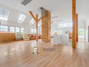 Prodej komerční nemovitosti, Velká Chmelištná, 550 m2