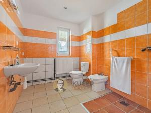 Prodej komerční nemovitosti, Velká Chmelištná, 550 m2