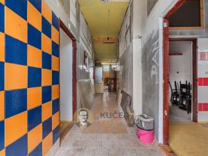 Prodej komerční nemovitosti, Velká Chmelištná, 550 m2