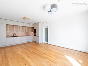 Pronájem bytu 3+kk, Praha - Smíchov, Podbělohorská, 170 m2
