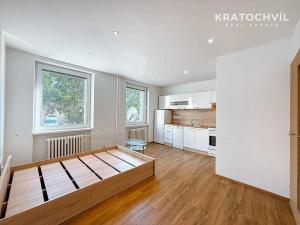 Pronájem bytu 1+kk, Praha - Letňany, Místecká, 25 m2