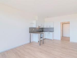 Pronájem bytu 1+kk, Olomouc, 35 m2