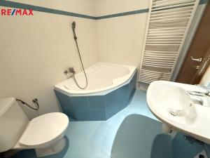 Pronájem bytu 1+kk, Kolín - Kolín I, 32 m2