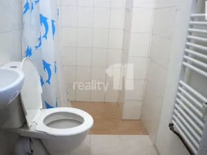 Prodej činžovního domu, Ostrava - Přívoz, Rovná, 1620 m2