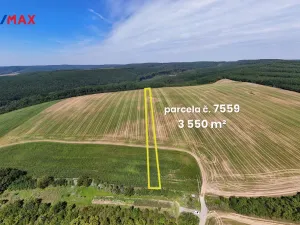 Prodej pole, Lovčice, 5541 m2