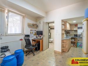 Prodej vícegeneračního domu, Dolní Kounice, 170 m2