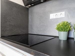 Pronájem bytu 2+kk, Brno, Plotní, 52 m2